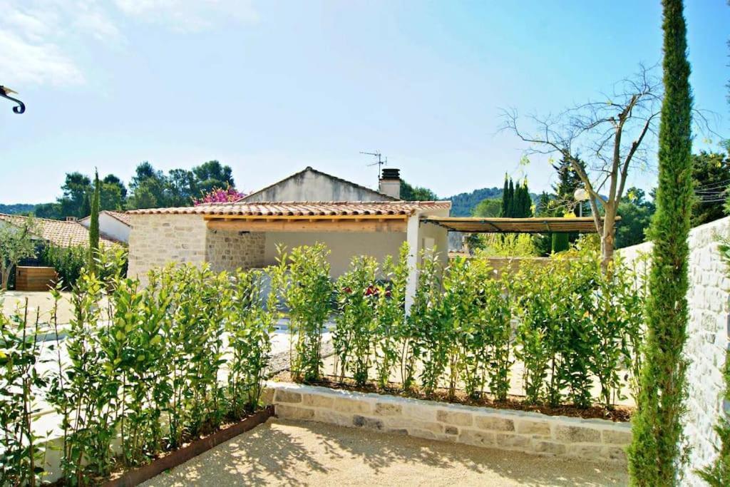 La Maison D'Angele Saint Remy De Provence Villa Eksteriør billede